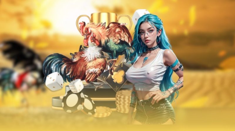 CEO DagaCo Nguyễn Tuấn và hành trình xây dựng đế chế đá gà hàng đầu Việt Nam