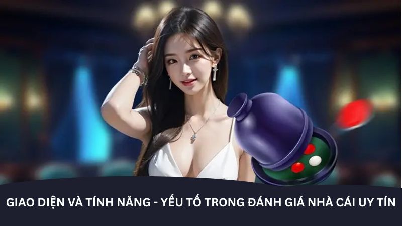 Giấy phép và tính hợp pháp của K9win